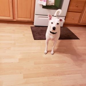 Meet your Posher, Esther